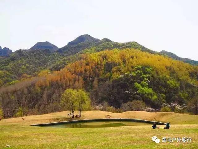 一架客机在阿富汗坠毁,机上共有6人